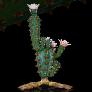 Fully Bloomed Chaiactus
