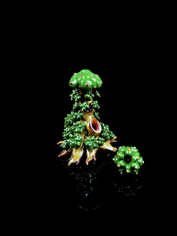 Peyote Cluster - Image 7
