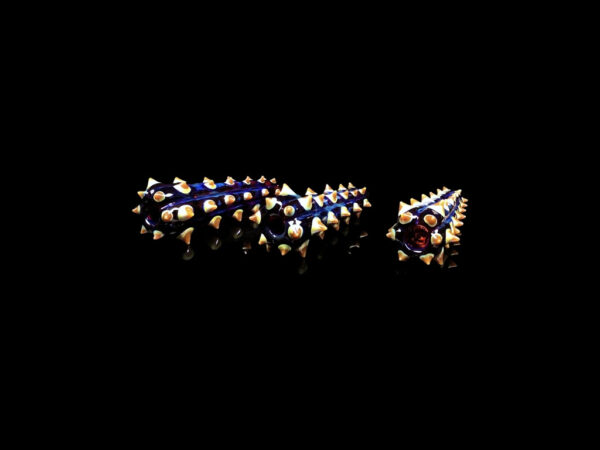 Cactus Chillum - Image 2