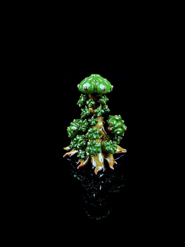 Peyote Cluster - Image 4
