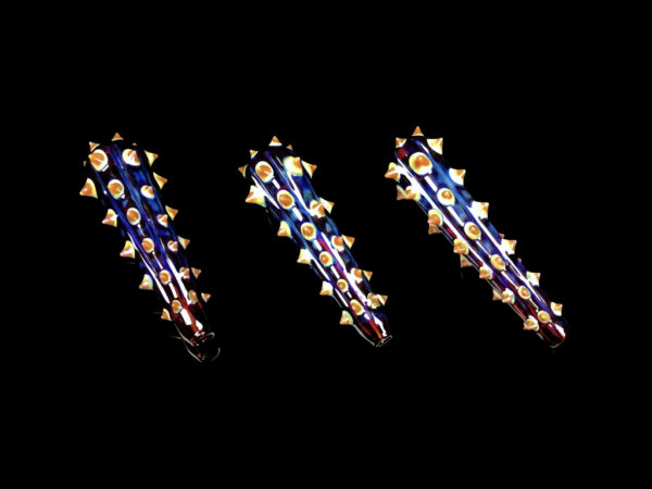 Cactus Chillum - Image 5