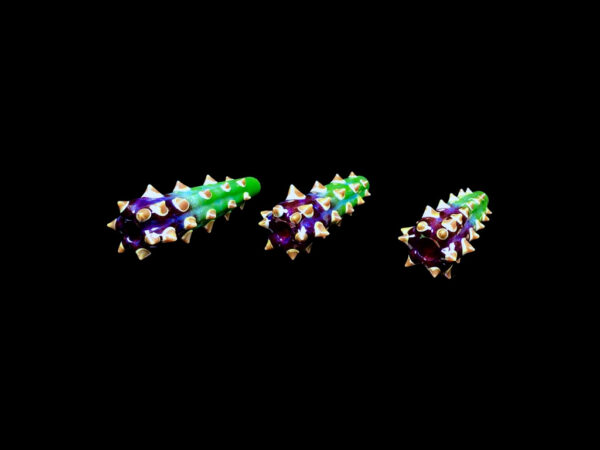 Cactus Chillum - Image 6