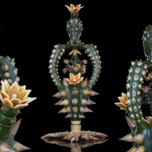 Cactus Merkaba Spinner
