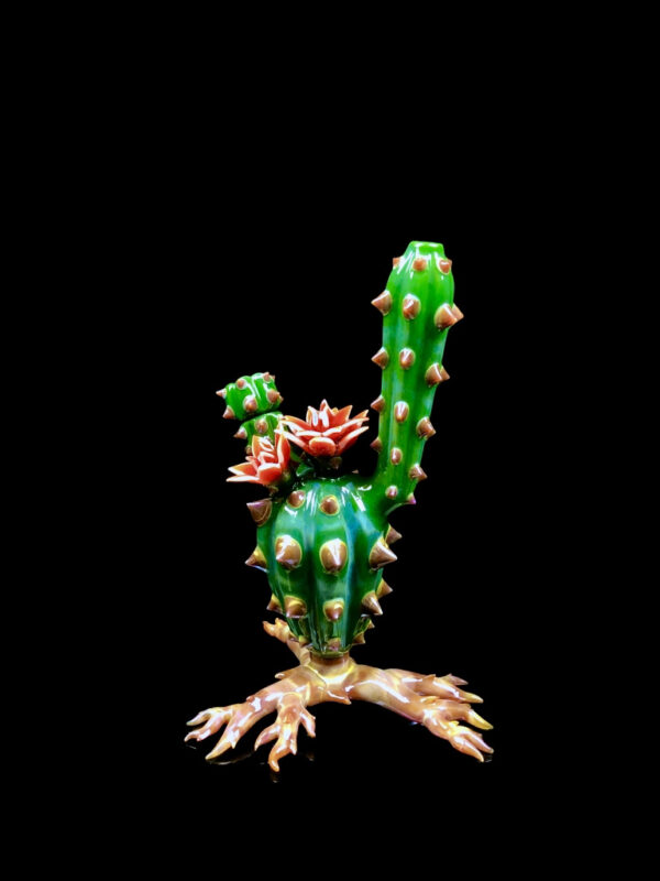 Chaiactita - Image 3