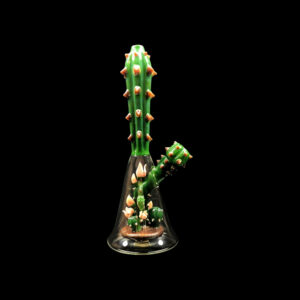 Cactus Perc Terrarium