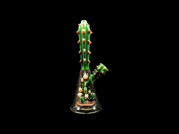 Cactus Perc Terrarium