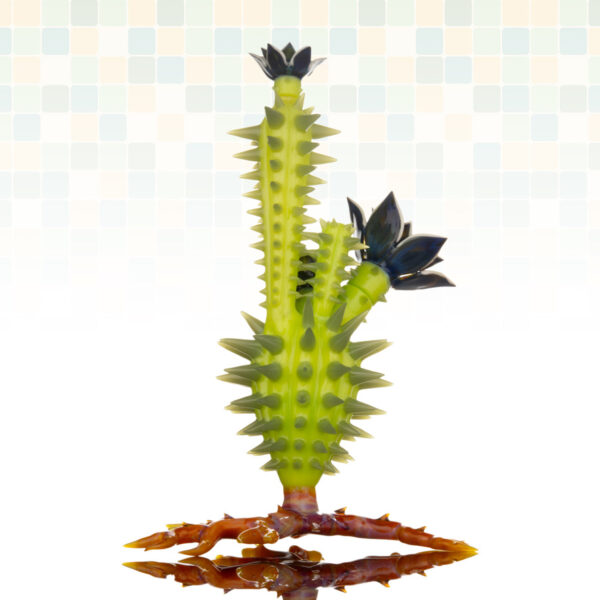 Alien Cactus #2 - Image 4