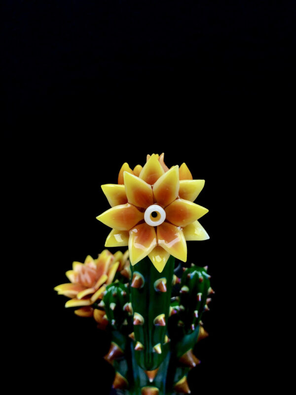 Fully Bloomed Proxy Cactus - Image 4