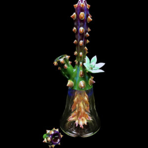 Root Perc Terrarium