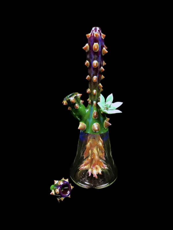 Root Perc Terrarium