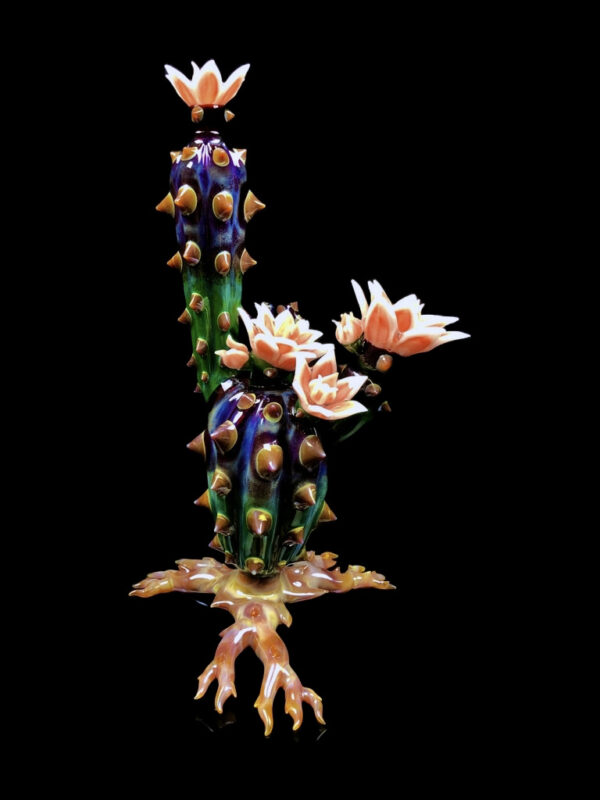 Fully Bloomed Chaiactita - Image 3