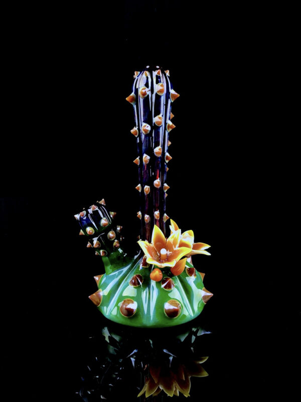 Half Bloomed Baby Chaictubus - Image 6