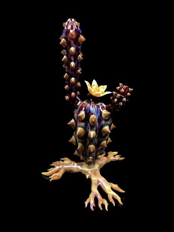 Chaiactita