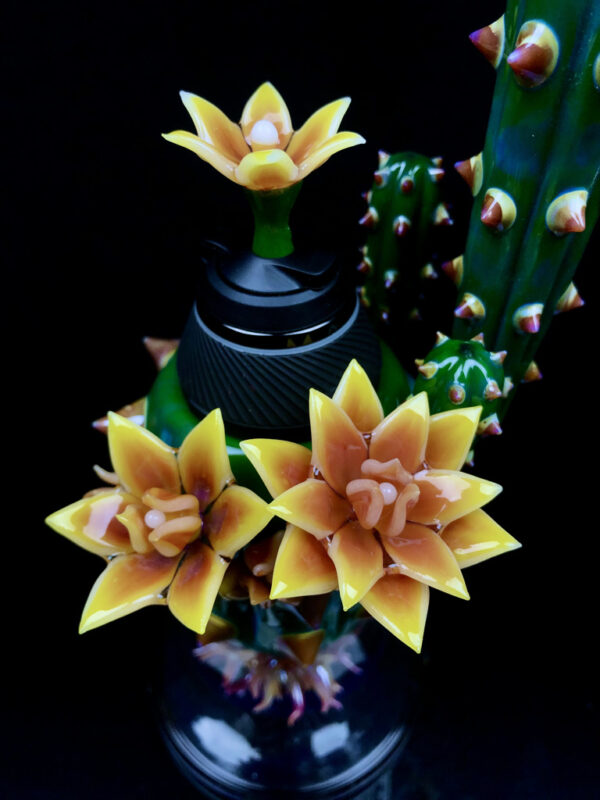 Fully Bloomed Proxy Cactus - Image 7