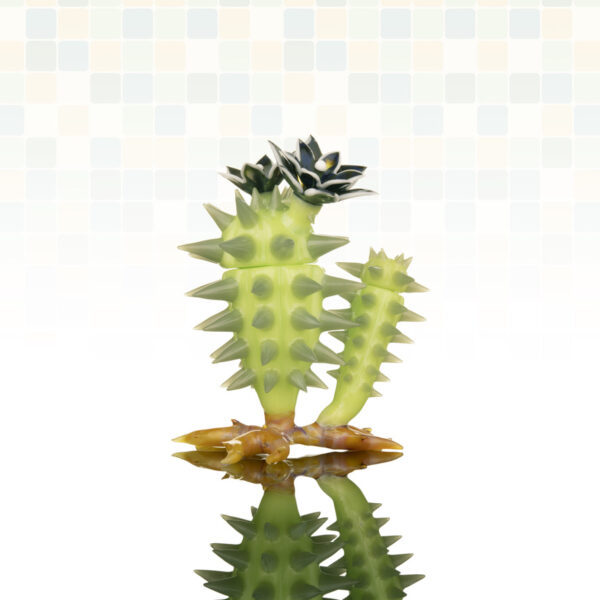 Alien Cactus #2 - Image 5