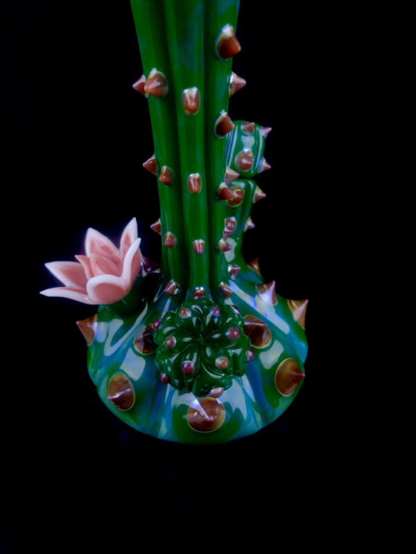 Half Bloomed Baby Chaictubus - Image 4