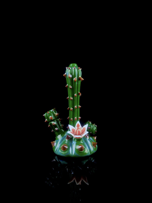 Half Bloomed Baby Chaictubus - Image 3