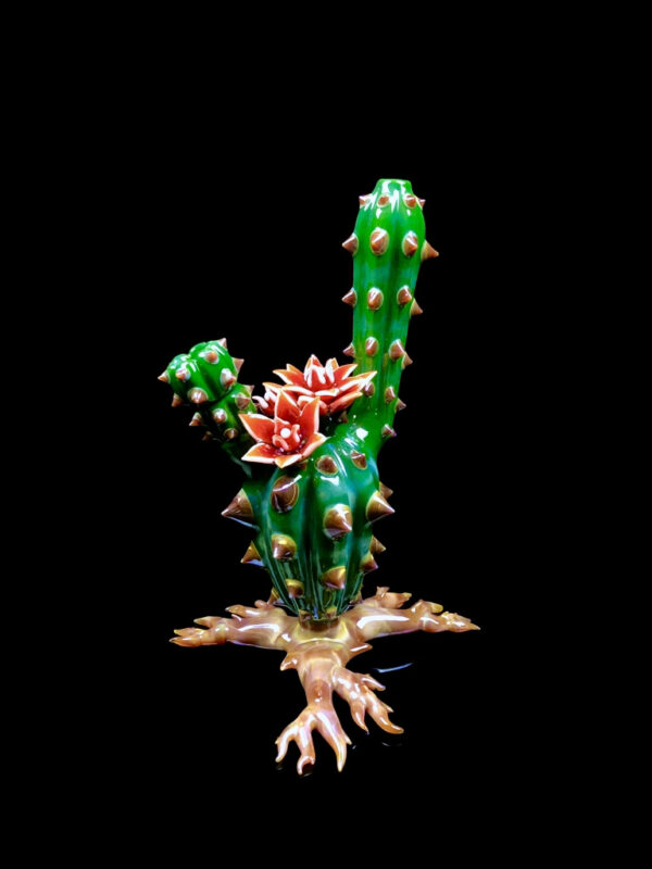 Chaiactita - Image 5