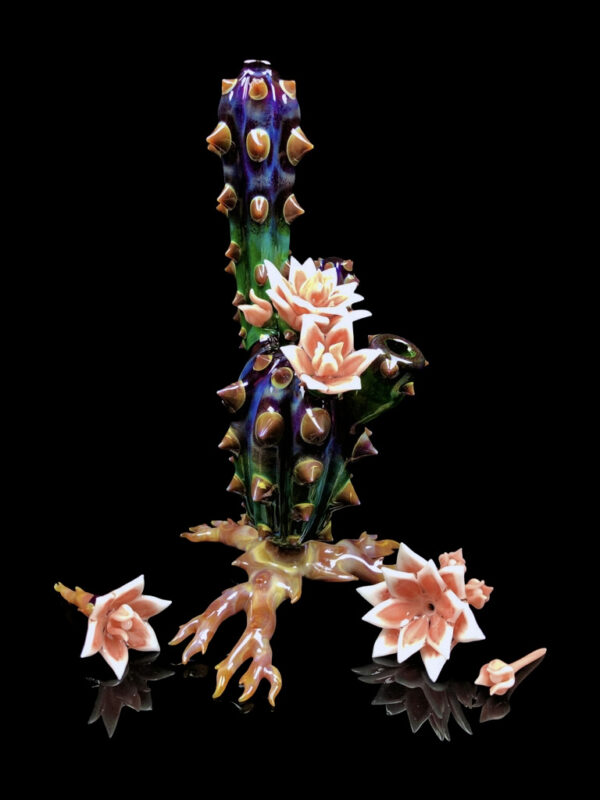 Fully Bloomed Chaiactita