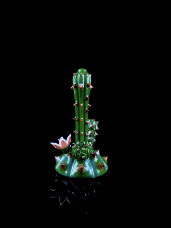 Half Bloomed Baby Chaictubus - Image 2