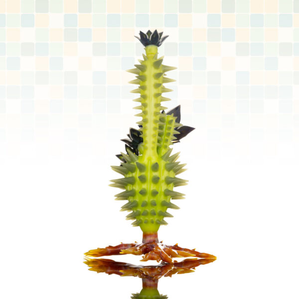 Alien Cactus #2 - Image 21
